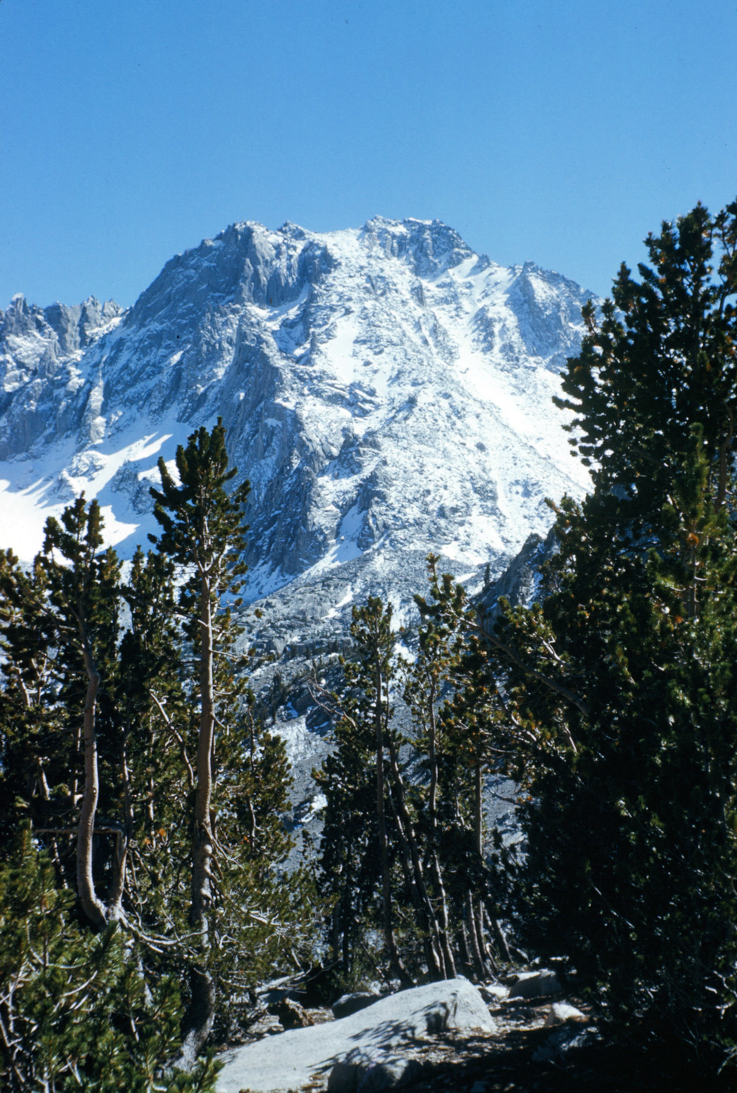 University Peak