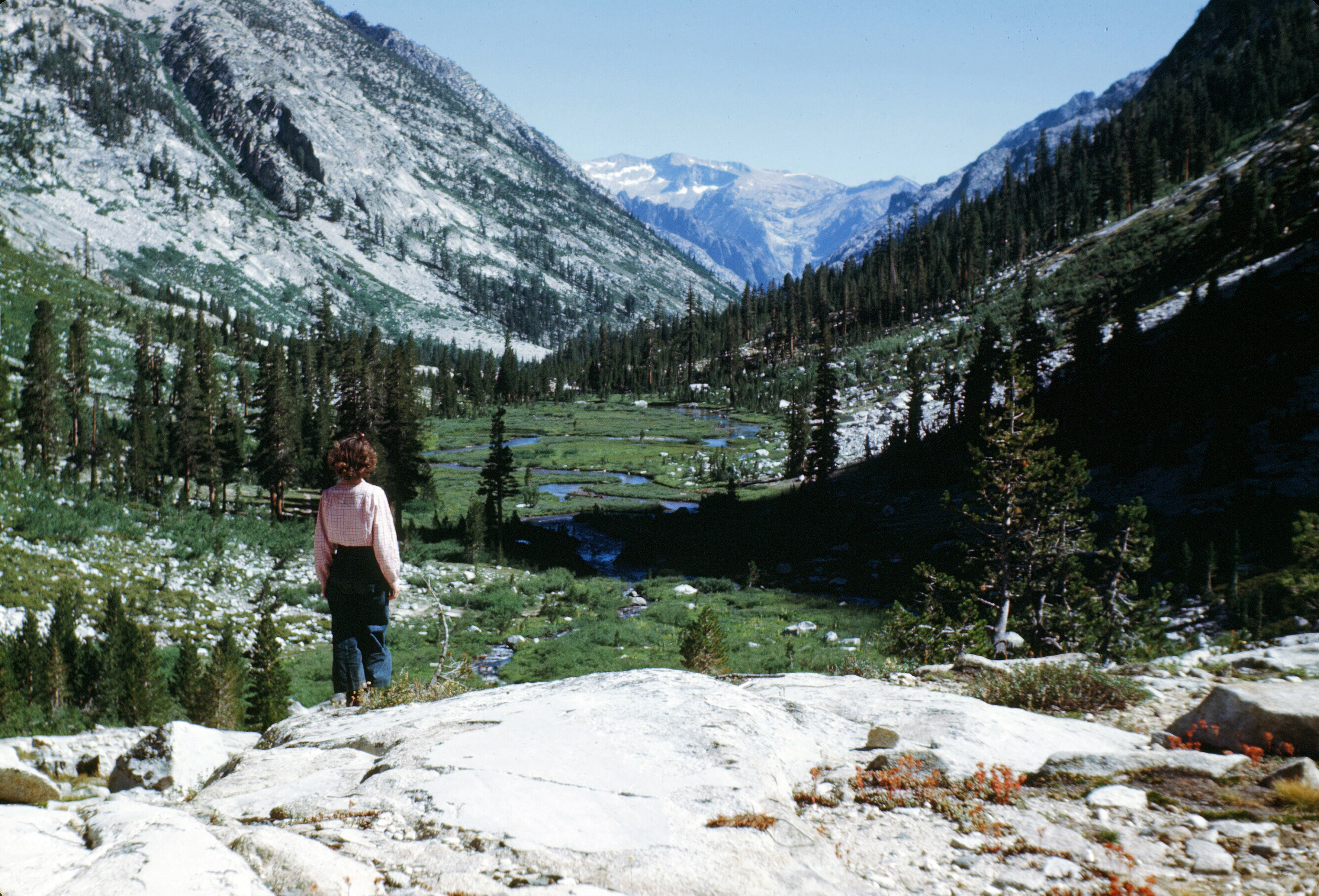 Little Pete Meadow