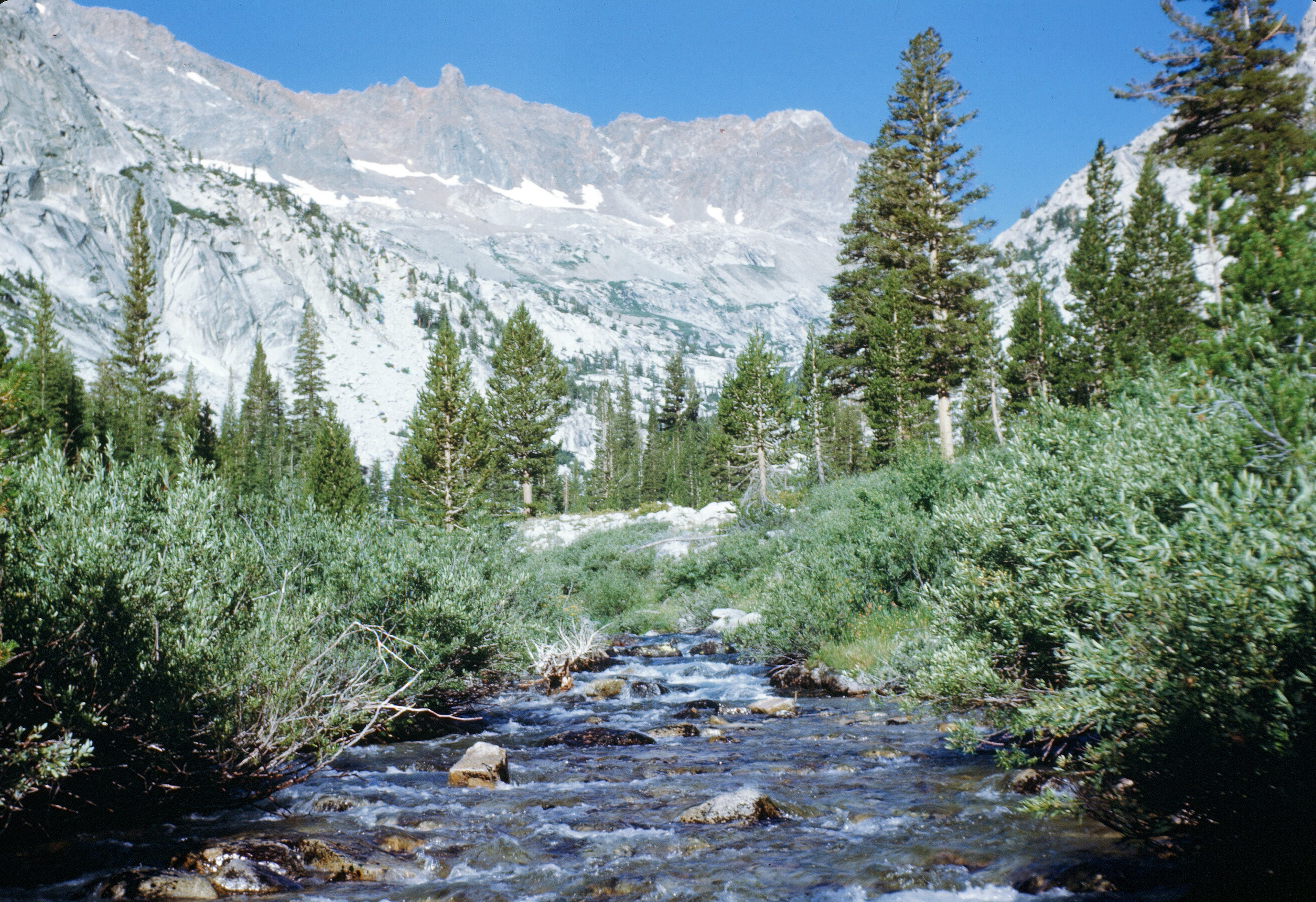 Upper Le Conte Canyon