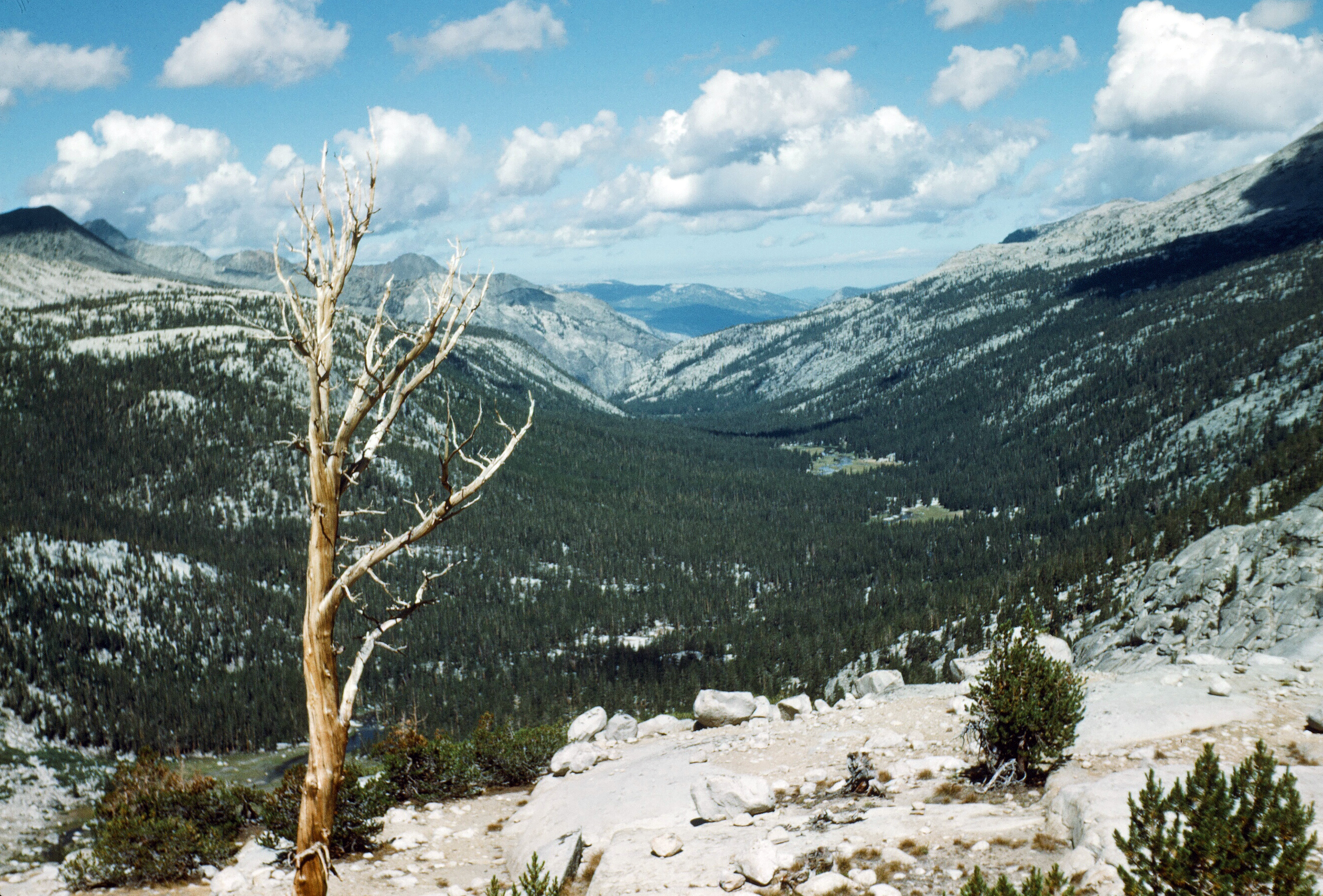 Evolution Valley