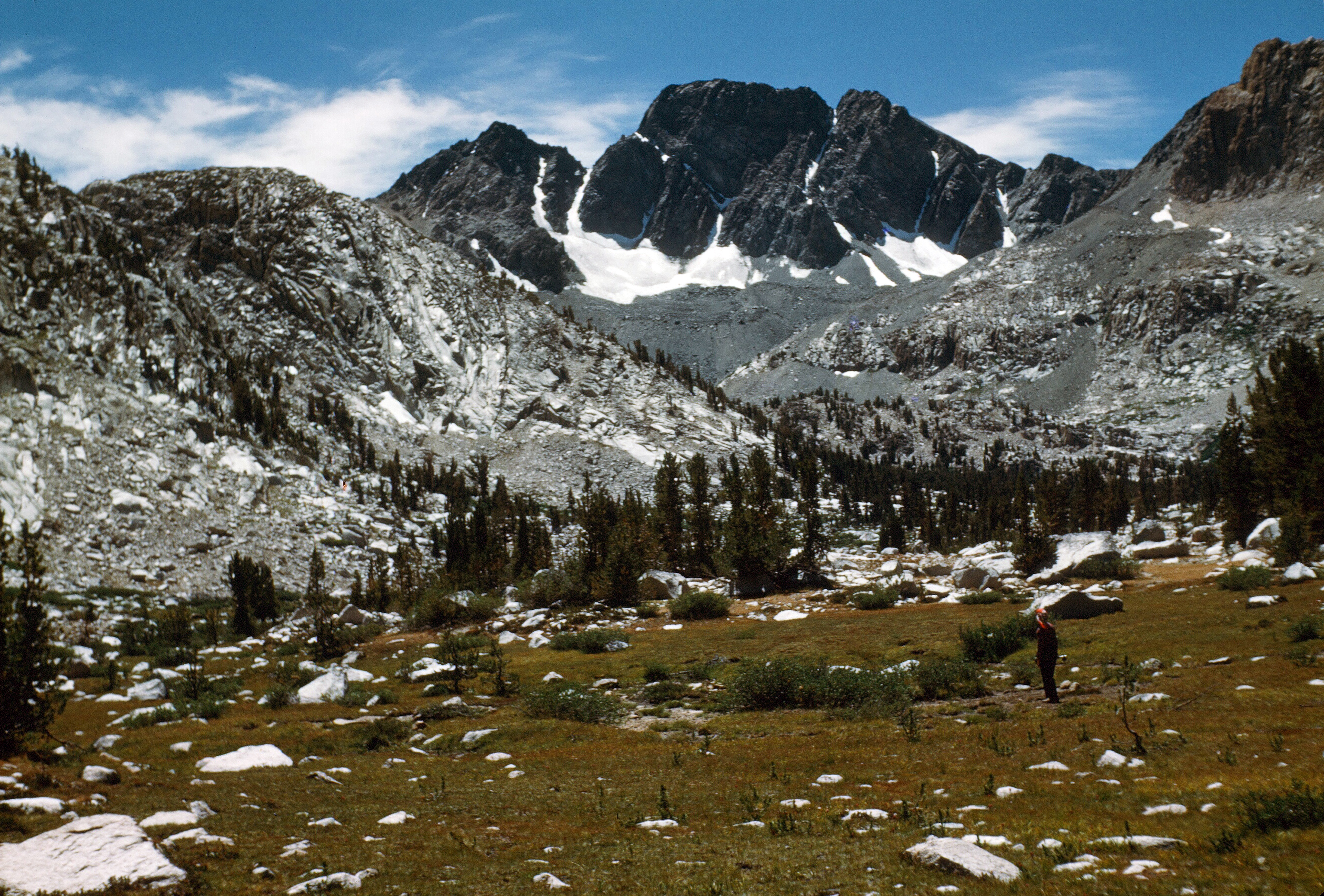 Mount McGee