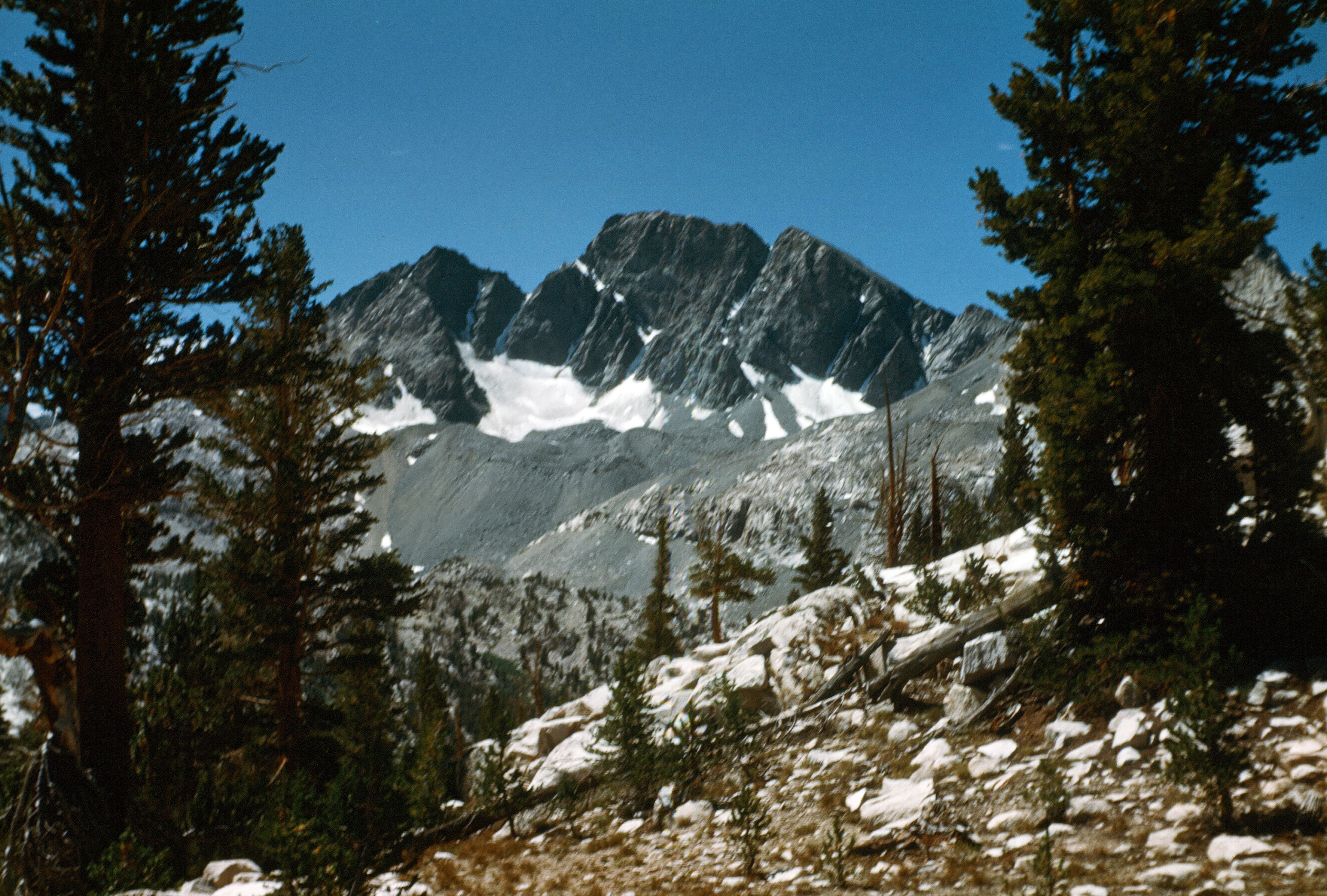 Mount McGee