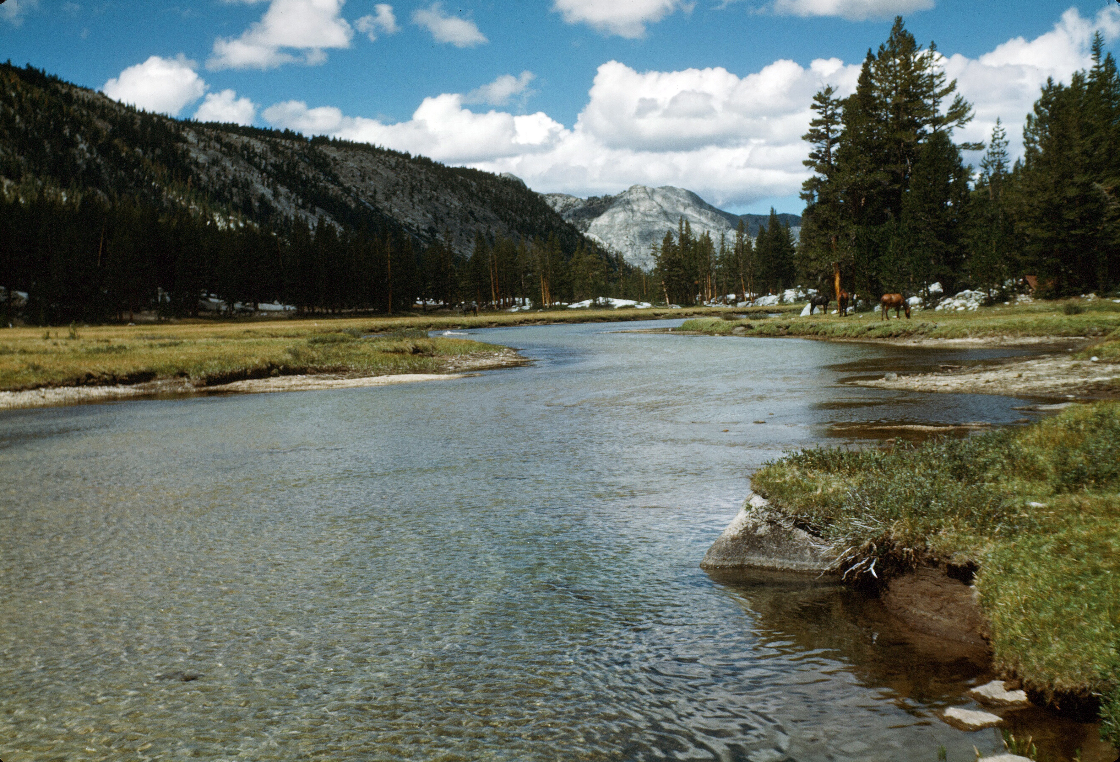 Evolution Creek