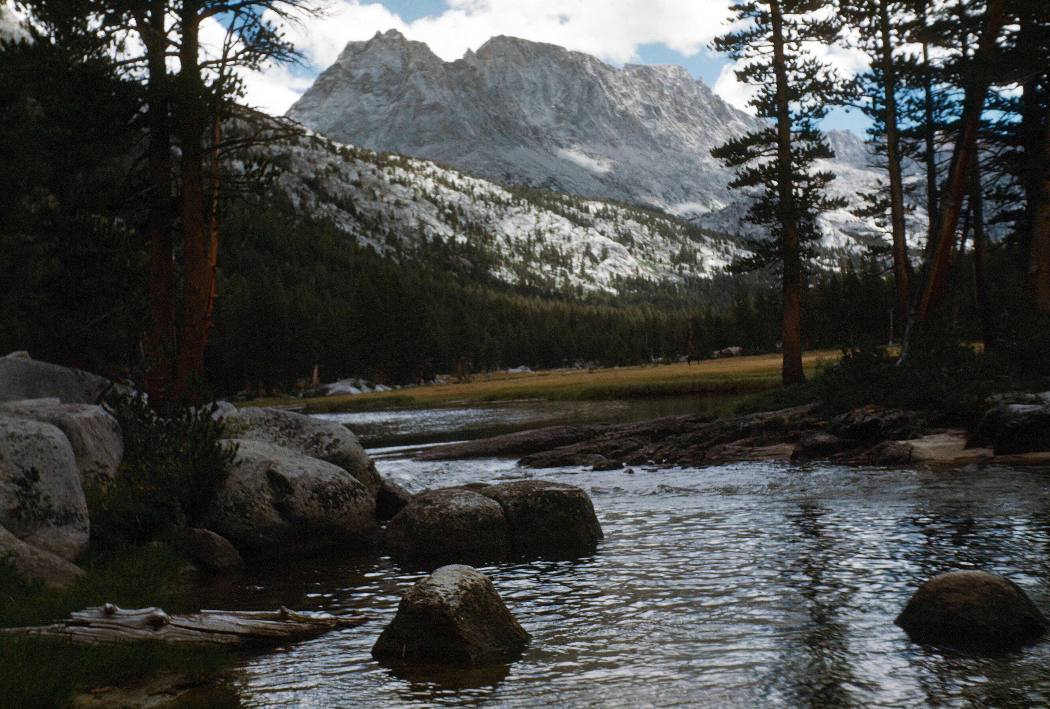 McClure Meadow and Mount Mendel and Mount Darwin