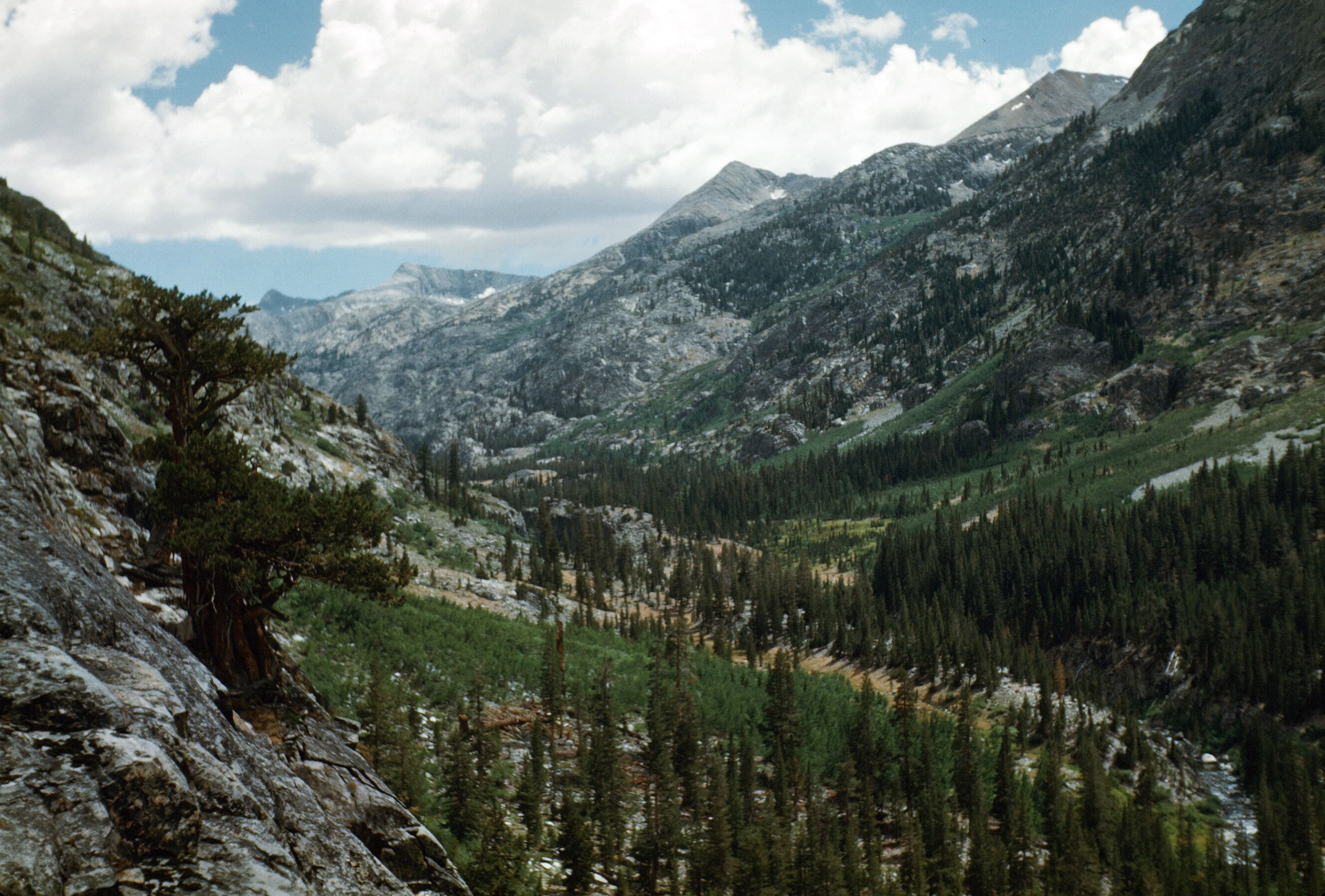 Goddard Canyon