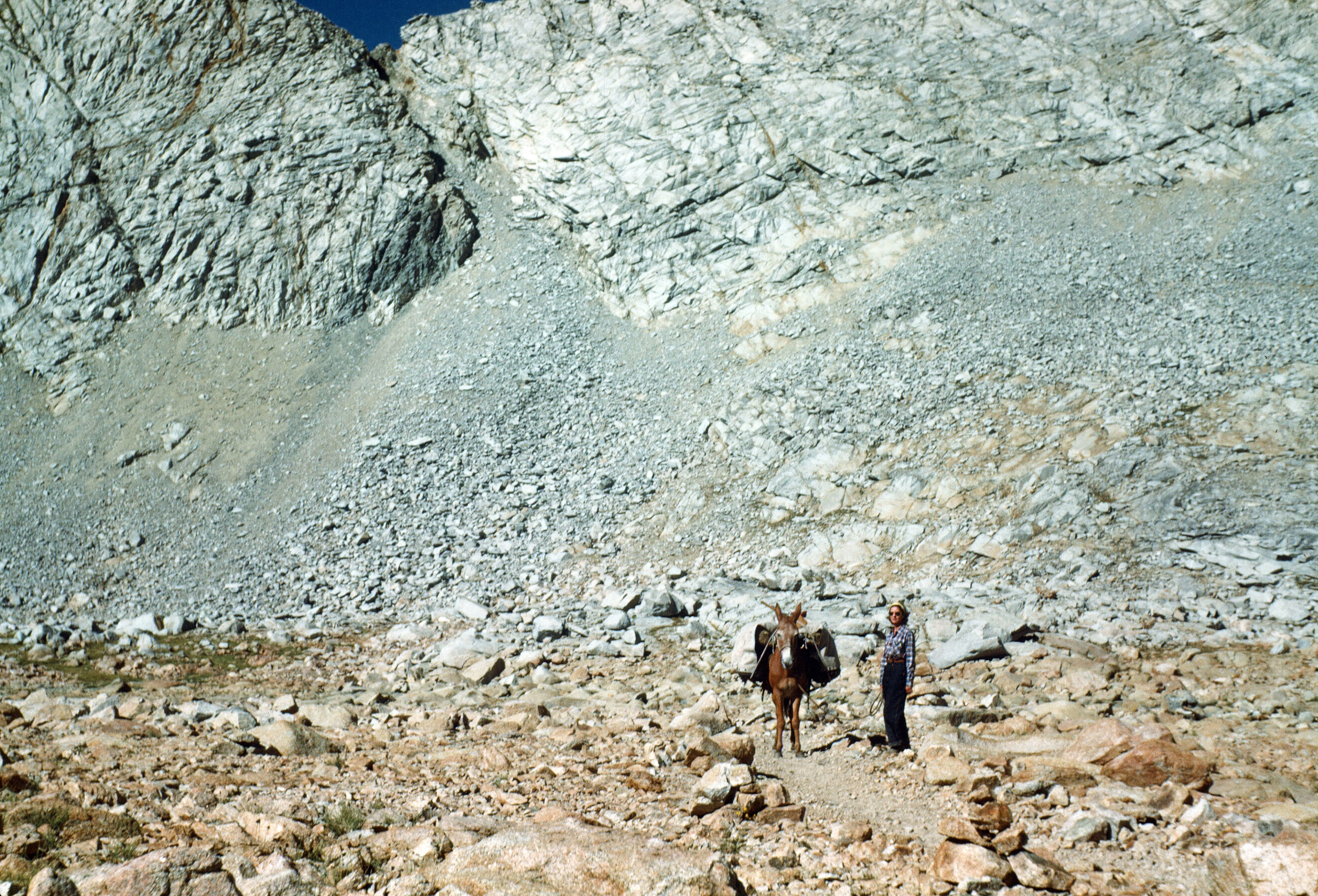 Forester Pass cliff